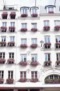 Paris window boxes w