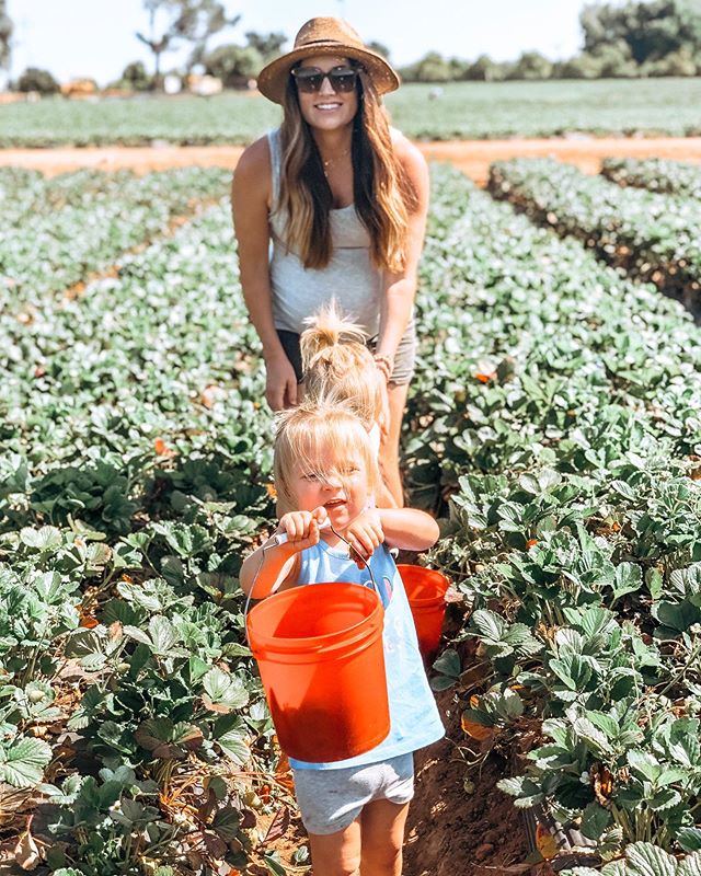 The girls had SO much fun picking strawberries and blackberries this weekend! 🍓 They loved holding their buckets and finding the best berries. Not sure why we haven&rsquo;t done this sooner! I&rsquo;m trying to stay super active to get this baby rea