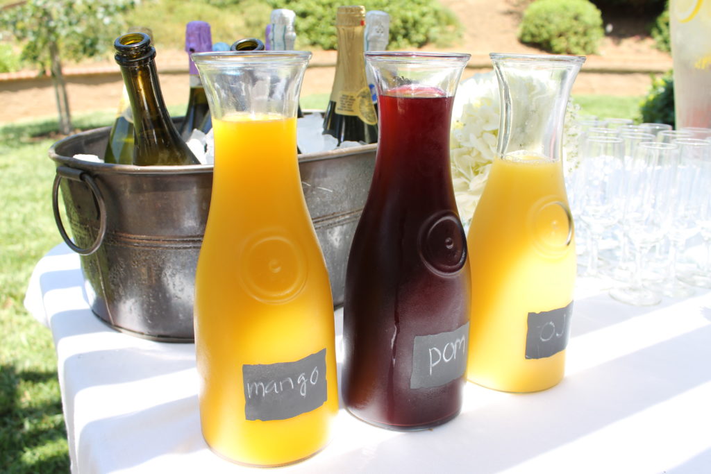 Twin Gender Reveal Party