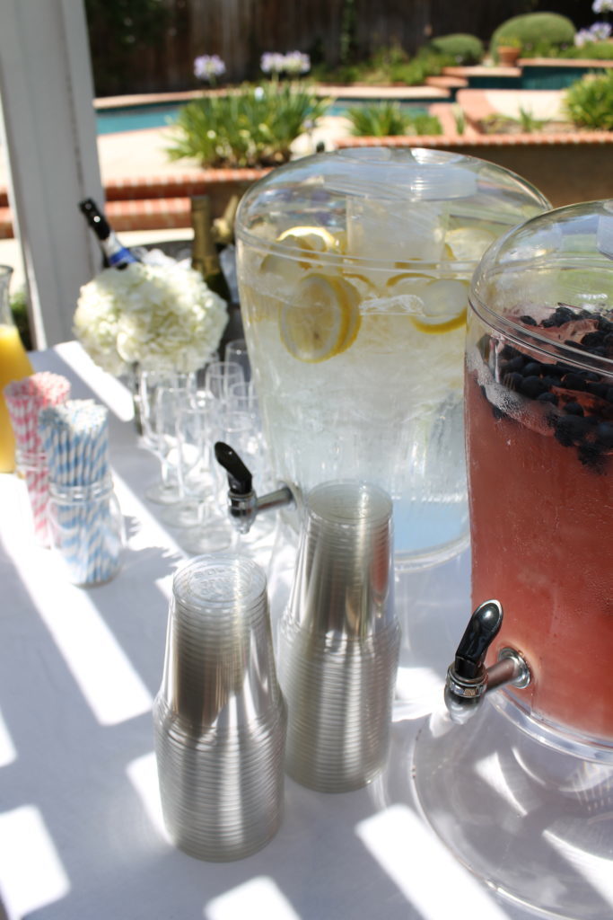 Twin Gender Reveal Party