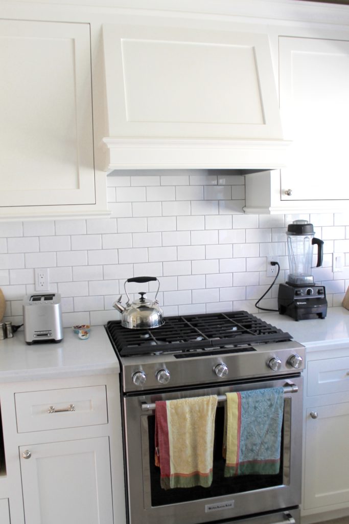 White Kitchen Renovation and Design