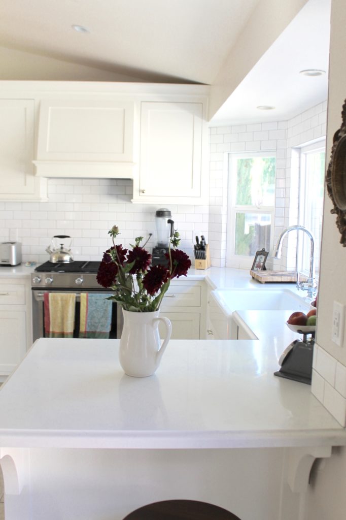 White Kitchen Renovation and Design