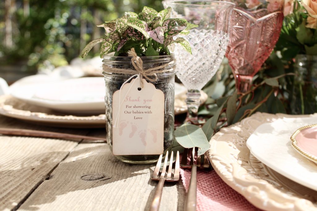 baby shower party favor